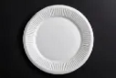Paper plate(25pcs)