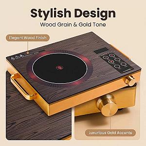 induction cooker